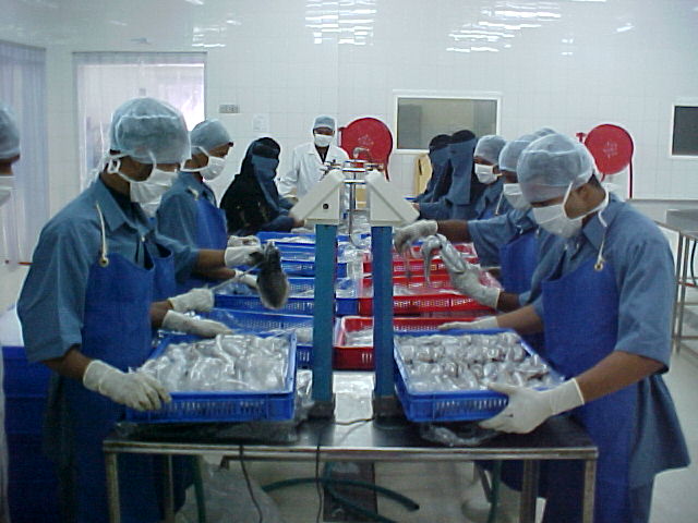Team Member 3