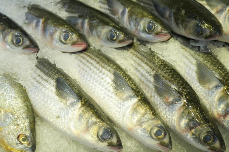 Fresh & chilled exports