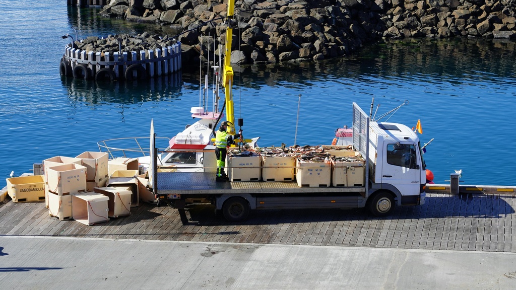 Logistics & shipping